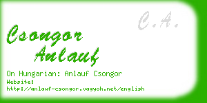 csongor anlauf business card